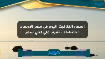 أسعار الكتاكيت اليوم في مصر الأربعاء 23-4-2025.. تعرف على أعلى سعر