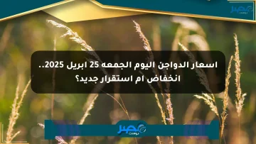 أسعار الدواجن اليوم الجمعة 25 أبريل 2025.. انخفاض أم استقرار جديد؟
