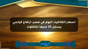 أسعار الكتاكيت اليوم في مصر: ارتفاع قياسي يسجل 53 جنيها للكتكوت