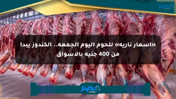 «أسعار نارية» للحوم اليوم الجمعة.. الكندوز يبدأ من 400 جنيه بالأسواق