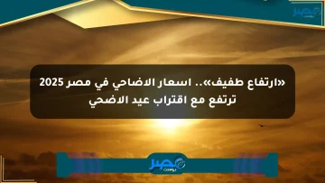 «ارتفاع طفيف».. أسعار الأضاحي في مصر 2025 ترتفع مع اقتراب عيد الأضحى