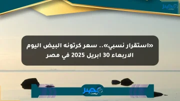 «استقرار نسبي».. سعر كرتونة البيض اليوم الأربعاء 30 أبريل 2025 في مصر