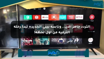 التردد جاهز الآن.. وناسة بيبي الجديدة تبدأ رحلة الترفيه من أول لحظة!