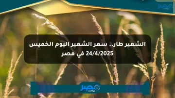الشعير طار.. سعر الشعير اليوم الخميس 24/4/2025 في مصر