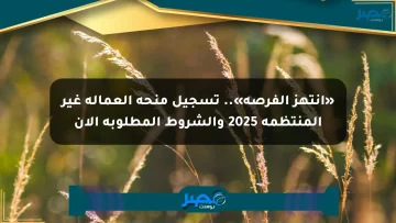 «انتهز الفرصة».. تسجيل منحة العمالة غير المنتظمة 2025 والشروط المطلوبة الآن