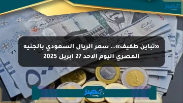 «تباين طفيف».. سعر الريال السعودي بالجنيه المصري اليوم الأحد 27 أبريل 2025