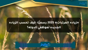 «زيادة المرتبات» 2025 رسميًا: كيف تحسب الزيادة الجديدة لموظفي الدولة؟