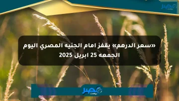 «سعر الدرهم» يقفز أمام الجنيه المصري اليوم الجمعة 25 أبريل 2025