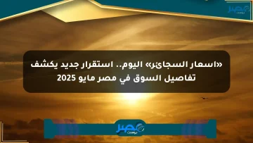 «أسعار السجائر» اليوم.. استقرار جديد يكشف تفاصيل السوق في مصر مايو 2025