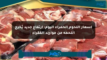 أسعار اللحوم الحمراء اليوم: ارتفاع جديد يُخرج اللحمة من موائد الفقراء