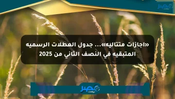«إجازات متتالية»… جدول العطلات الرسمية المتبقية في النصف الثاني من 2025