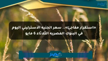 «استقرار مفاجئ».. سعر الجنيه الإسترليني اليوم في البنوك المصرية الثلاثاء 6 مايو