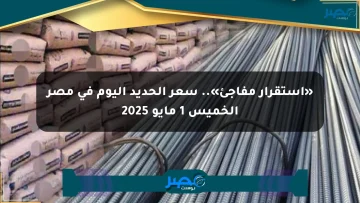 «استقرار مفاجئ».. سعر الحديد اليوم في مصر الخميس 1 مايو 2025
