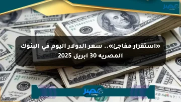 «استقرار مفاجئ».. سعر الدولار اليوم في البنوك المصرية 30 أبريل 2025