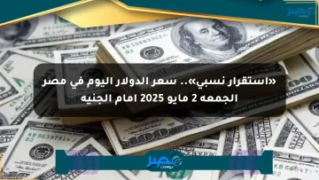 «استقرار نسبي».. سعر الدولار اليوم في مصر الجمعة 2 مايو 2025 أمام الجنيه