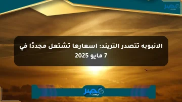 الأنبوبة تتصدر التريند: أسعارها تشتعل مجددًا في 7 مايو 2025