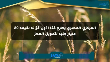 المركزي المصري يطرح غدًا أذون خزانة بقيمة 80 مليار جنيه لتمويل العجز