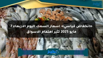 «انخفاض قياسي» أسعار السمك اليوم الأربعاء 7 مايو 2025 تثير اهتمام الأسواق