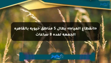 «انقطاع المياه» يطال 5 مناطق حيوية بالقاهرة الجمعة لمدة 8 ساعات