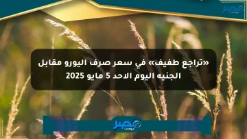 «تراجع طفيف» في سعر صرف اليورو مقابل الجنيه اليوم الأحد 5 مايو 2025