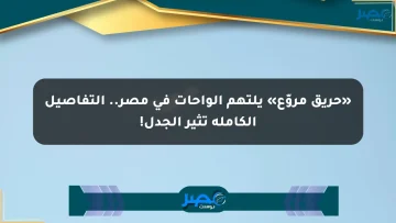 «حريق مروّع» يلتهم الواحات في مصر.. التفاصيل الكاملة تثير الجدل!