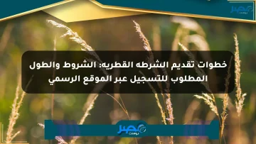 خطوات تقديم الشرطة القطرية: الشروط والطول المطلوب للتسجيل عبر الموقع الرسمي