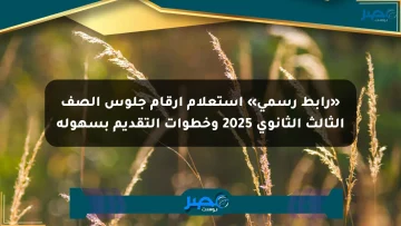 «رابط رسمي» استعلام أرقام جلوس الصف الثالث الثانوي 2025 وخطوات التقديم بسهولة