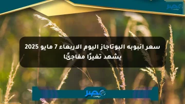 سعر أنبوبة البوتاجاز اليوم الأربعاء 7 مايو 2025 يشهد تغيرًا مفاجئًا