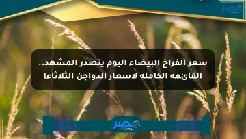 سعر الفراخ البيضاء اليوم يتصدر المشهد.. القائمة الكاملة لأسعار الدواجن الثلاثاء!