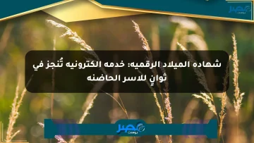 شهادة الميلاد الرقمية: خدمة إلكترونية تُنجز في ثوانٍ للأسر الحاضنة