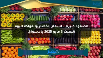 «صعود كبير».. أسعار الخضار والفواكه اليوم السبت 3 مايو 2025 بالأسواق