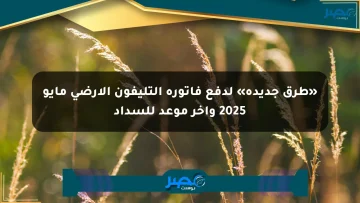 «طرق جديدة» لدفع فاتورة التليفون الأرضي مايو 2025 وآخر موعد للسداد