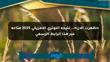 «ظهرت الآن».. نتيجة اللوتري الأمريكي 2025 متاحة عبر هذا الرابط الرسمي