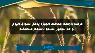 فرصة رائعة: محافظ الجيزة يدعم أسواق اليوم الواحد لتوفير السلع بأسعار منخفضة