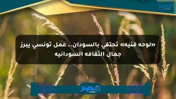 «لوحة فنية» تحتفي بالسودان.. عمل تونسي يبرز جمال الثقافة السودانية