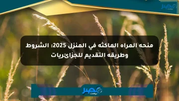 منحة المرأة الماكثة في المنزل 2025: الشروط وطريقة التقديم للجزائريات