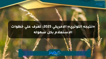 «نتيجة اللوتري» الأمريكي 2025: تعرف على خطوات الاستعلام بكل سهولة